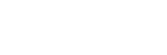 Syntech logo