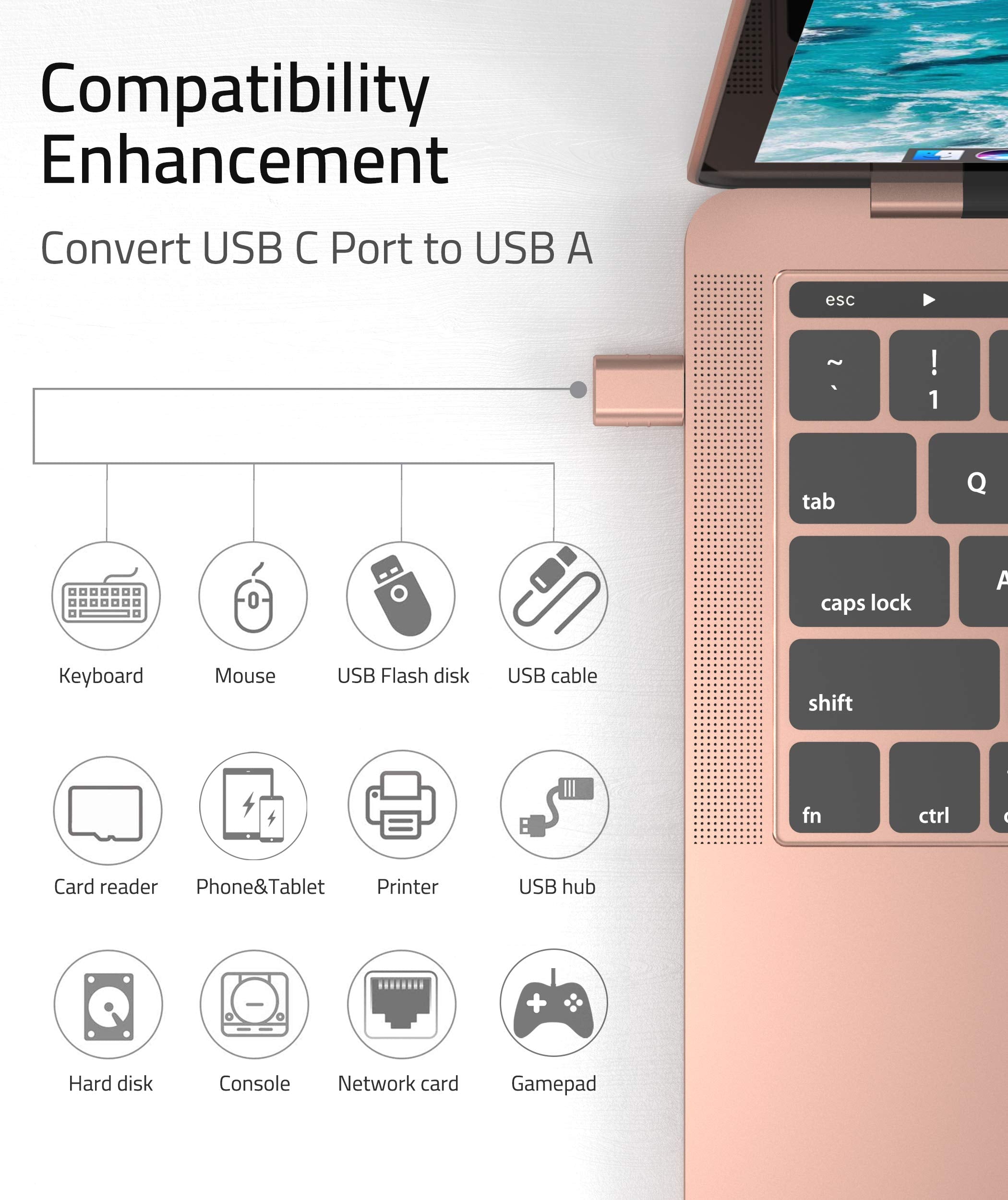 USB C Port to USB A