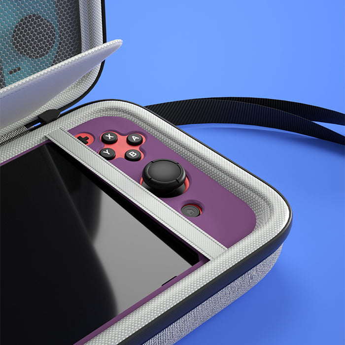 purple nintendo switch view